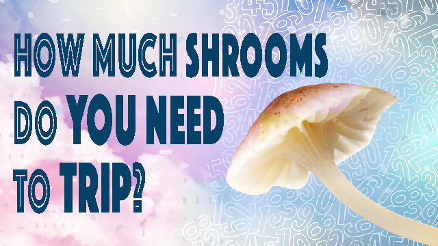 how much shrooms do you need to trip